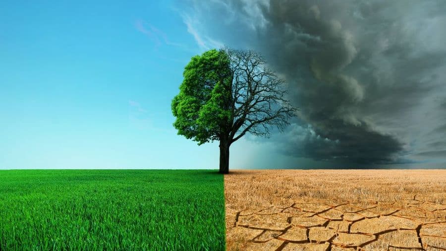 Le rôle de l'Actuaire dans la Transition Climatique : compétences et contributions