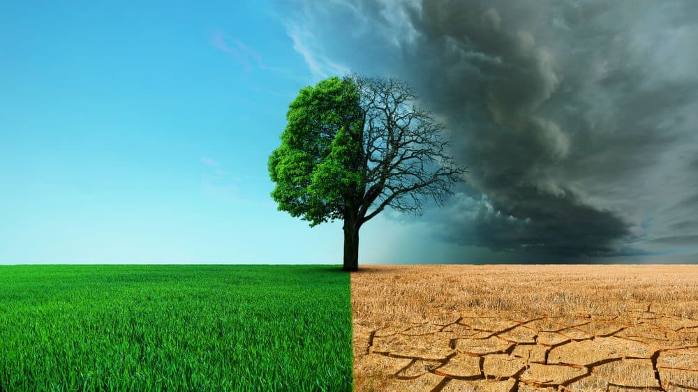 Le rôle de l'Actuaire dans la Transition Climatique : compétences et contributions