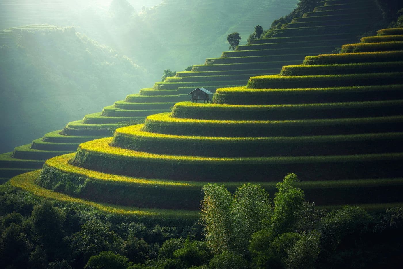 Les deux catégories de risques climatiques auxquels une organisation peut être confrontée