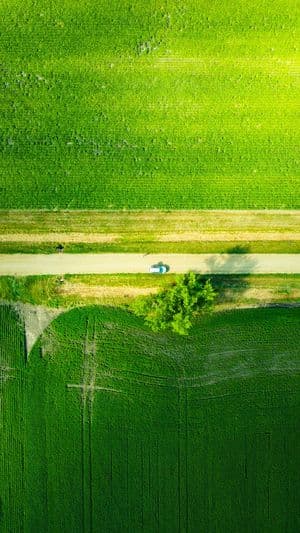 decarbonation-automobile