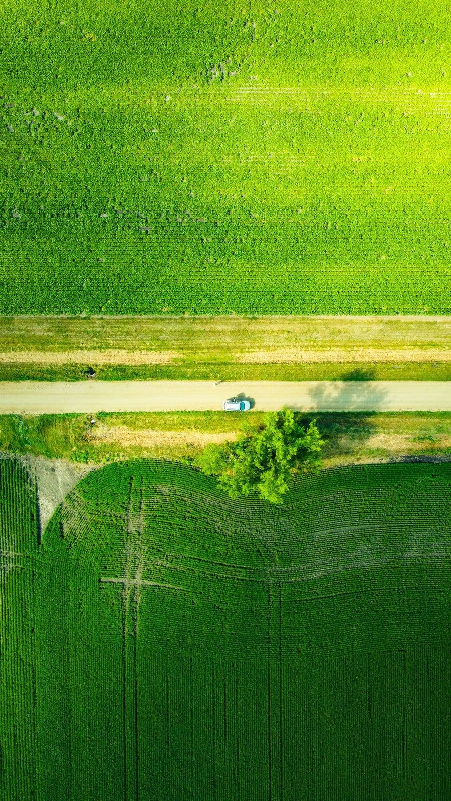 decarbonation-automobile